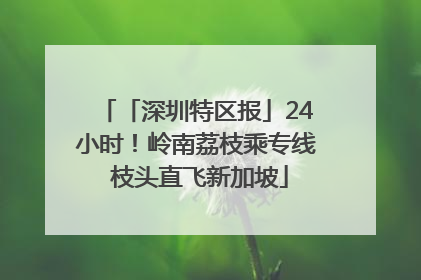 「深圳特区报」24小时！岭南荔枝乘专线 枝头直飞新加坡